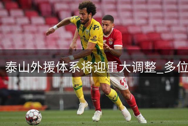 泰山外援体系将迎重大调整 多位球员或面临清洗